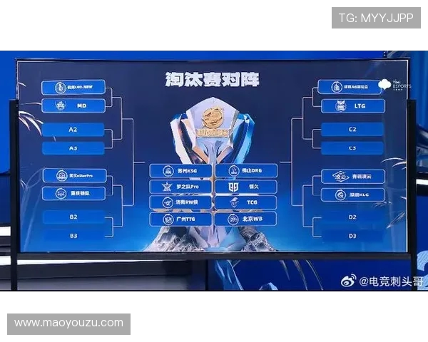 V5在挑战者杯中的个人能力分析与表现评估