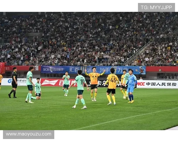 成都排球队在冠军赛中的技术表现分析与未来展望